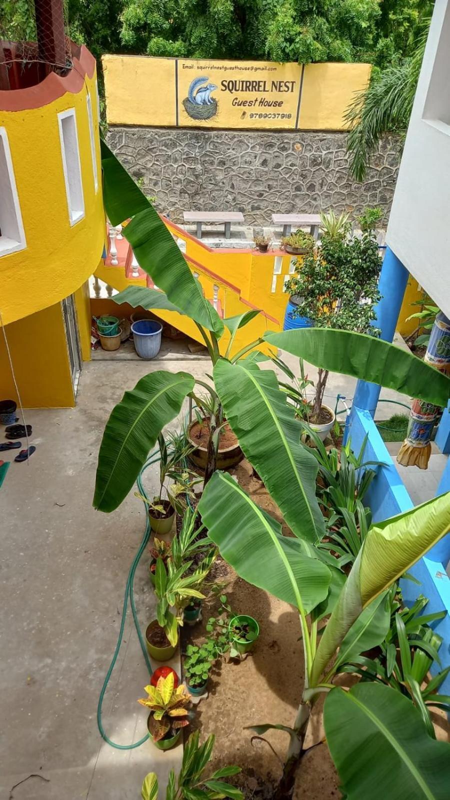 Squirrel Nest Guest House 마하발리푸람 외부 사진